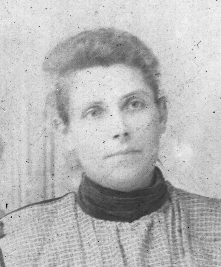 Catherine Mary Gibbons (1856 - 1934) Profile
